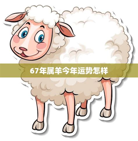 1967屬羊 1959年的猪